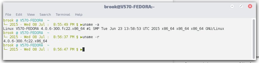 Fedora 22 output of uname