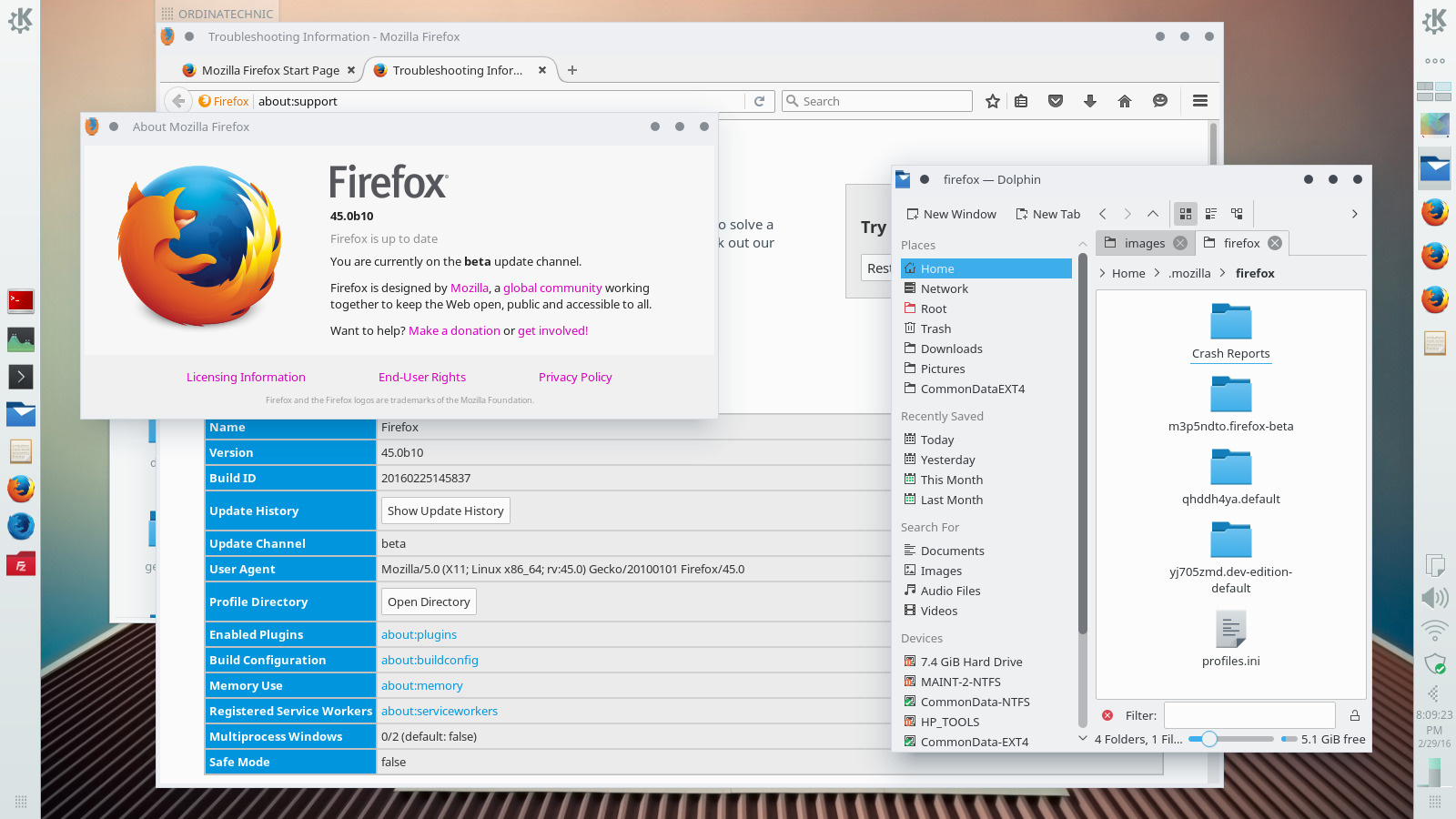2 firefox versions installed